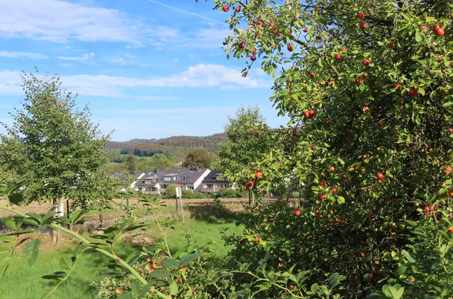 Blick von Haus Friede - Hattingen -Oberbredenscheid nach Hattingen