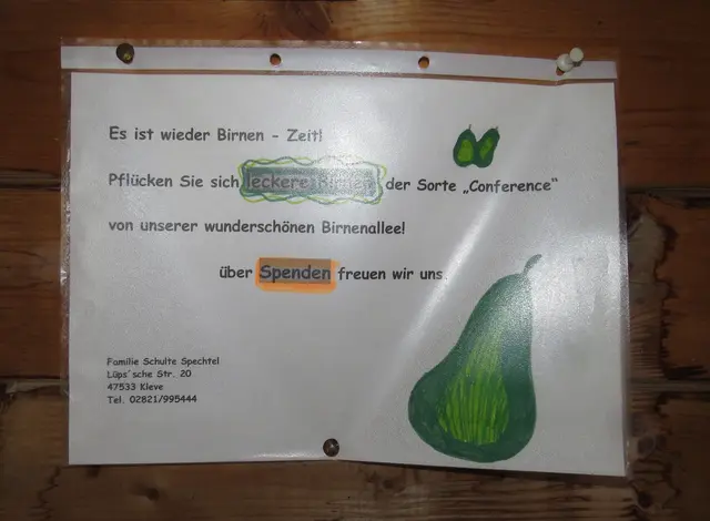 Foto: GvMeegen