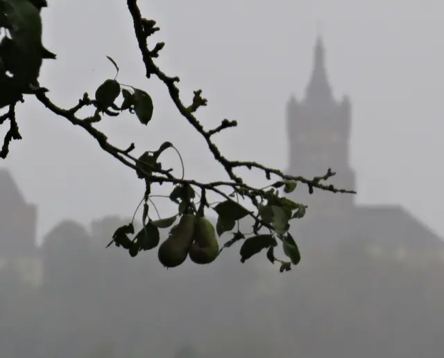 Foto: GvMeegen