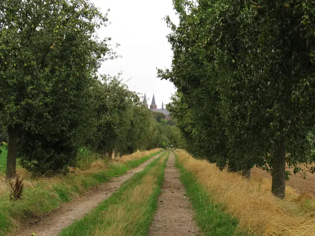 Foto: GvMeegen