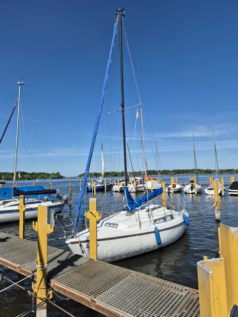 Liriel auf den Brandenburger Seen | Foto: Dietrich Krätzschmer