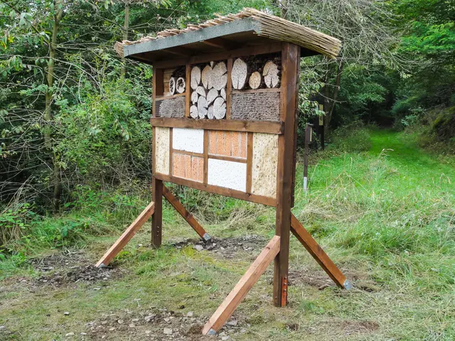Insektenhotel im Lehrpfad in Hatzfeld. Erstellt mit Kindern im Rahmen der Ferienspielen der Stadt Hatzfeld.