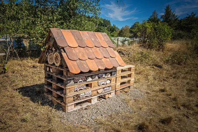 Insektenhotel auf der Breiten Heide erstellt bei einer Aktion mit den Auszubildenden der Firma H&amp;V. Innenausbau und Turm im hinteren Bereich folgt noch!