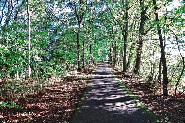 Gut ausgebautes Fahrradnetz im Hoge Kempen Nationalpark 