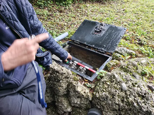 Mitarbeiter lösen den Schabernack aus