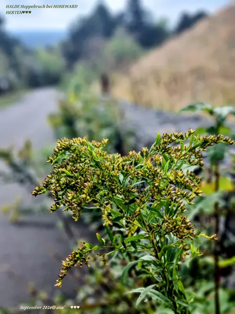 nature ♥