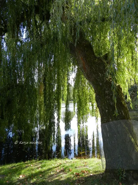 Maschpark Hannover