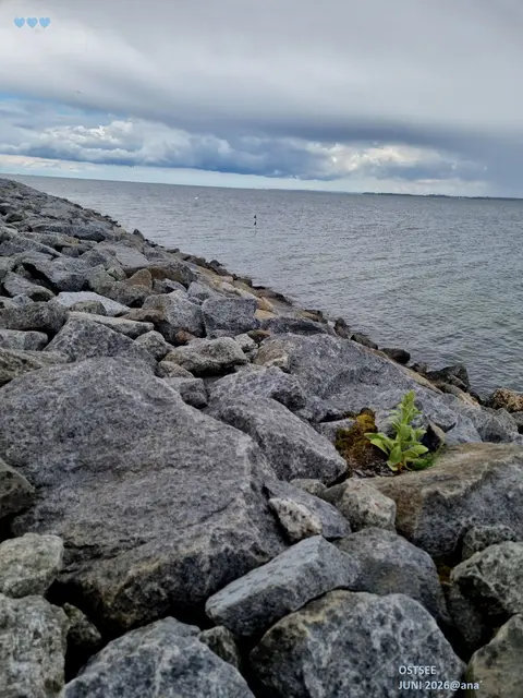 HIMMEL
über der OSTSEE
(Juni 2026)