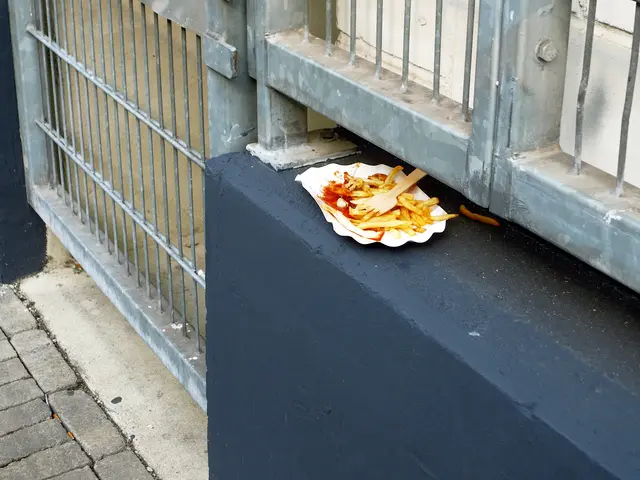 Weggeworfene Portion Pommes-frites mit Ketchup auf einer Pappschale auf einer Mauer in der Brandstraße in der Weseler-Innenstadt. | Foto: Siegmund Walter, 14.09.2026, 11:07 Uhr