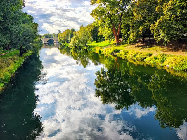 Donau mit Steinerner Brücke 