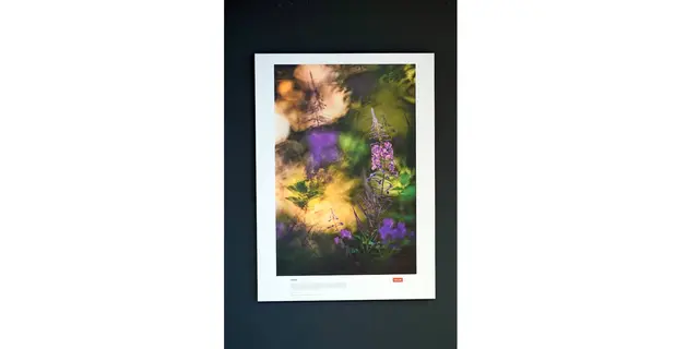 Titel: Chaos   -   Naturfotografien von Florian und Lisa Marie Smit.

Bild aus Artikel in Myheimat: „Skandinavien. Unberührte Wildnis – Naturfotografien von Florian und Lisa Marie Smit. Neue Ausstellung in der Städtischen Galerie Iserlohn.“