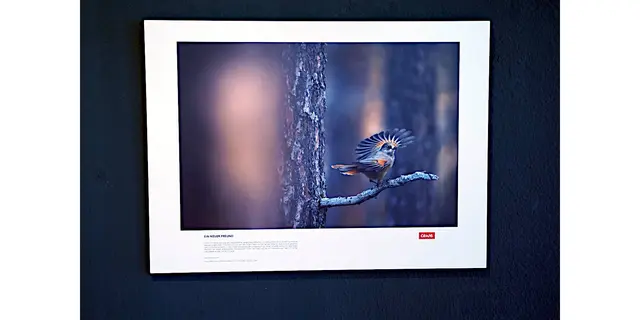 Titel: Ein neuer Freund   -   Naturfotografien von Florian und Lisa Marie Smit.

Bild aus Artikel in Myheimat: „Skandinavien. Unberührte Wildnis – Naturfotografien von Florian und Lisa Marie Smit. Neue Ausstellung in der Städtischen Galerie Iserlohn.“