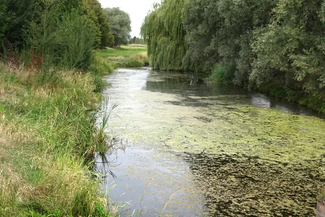 Löderburger Bruchgraben