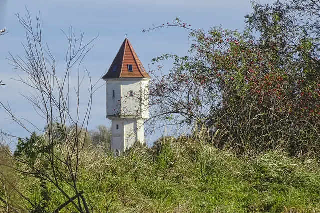 Athensleber Wasserturm aus Richtung Athensleber See aufgenommen