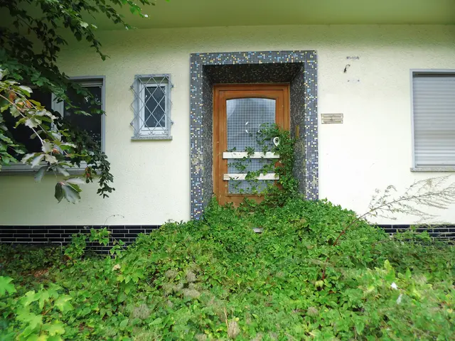 Ein Hauseingang mit künstlerische Note | Foto: Siegmund Walter, 18.09.2026, 15:01 Uhr