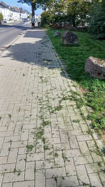 Liegengelassener Grasschnitt auf nagelneuen Gehweg! | Foto: Siegmund Walter, 18.09.2026