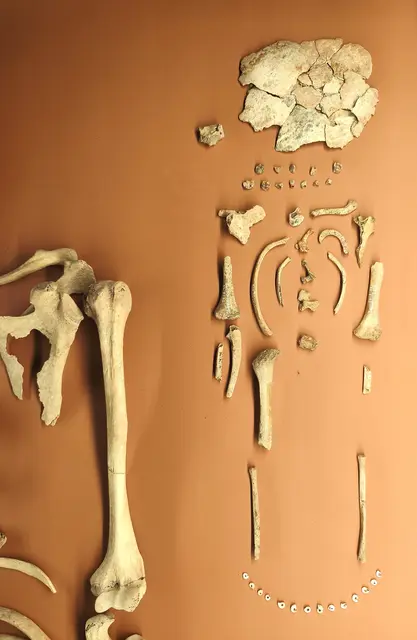 Skelett des männlichen Säuglings von 6 Monaten mit einer Kette aus winzigen Schneckenhäusern