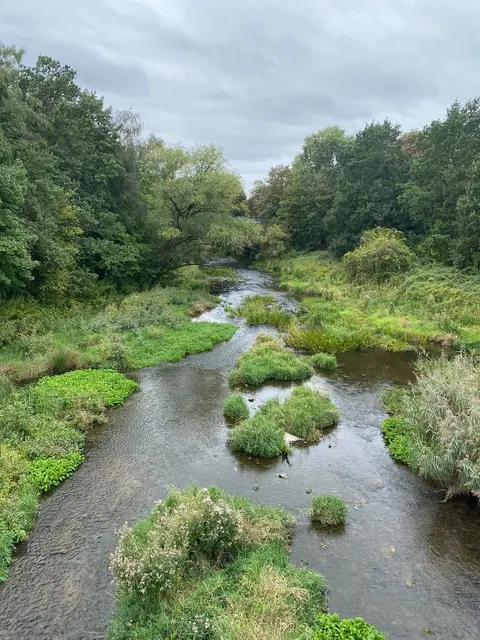 Foto: Freie Schwimmer Rheinkamp
