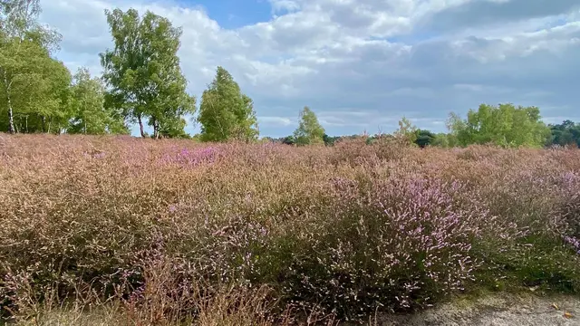 Foto: Freie Schwimmer Rheinkamp