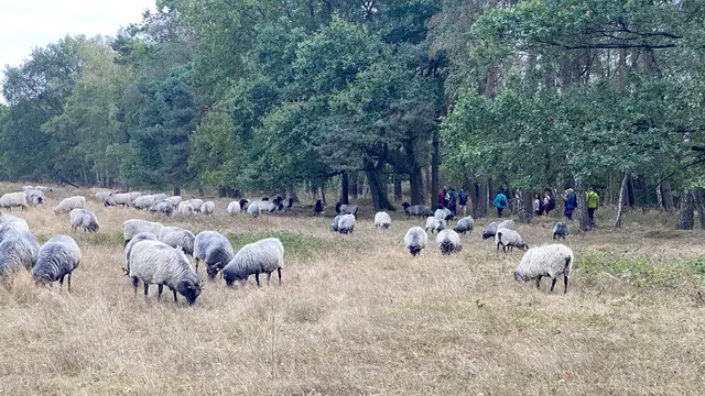 Foto: Freie Schwimmer Rheinkamp
