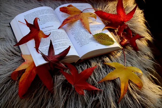 Foto Pixabay. 