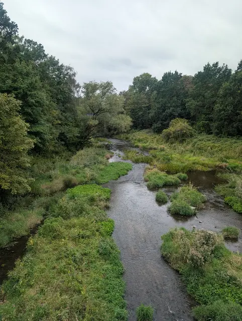 Foto: Freie Schwimmer Rheinkamp