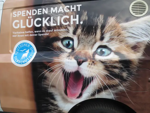 Der schöne Katzenkopf mit dem Spendenaufruf gefiel mir sehr.
