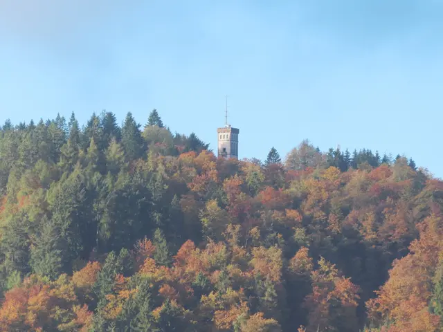 Das Bild ist ein Ausschnitt aus dem Original-Foto, das ich am 18.10.2025 gegen 9.15 Uhr gemacht habe. | Foto: M. A.