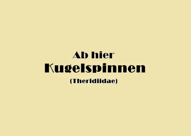 Foto: GvMeegen