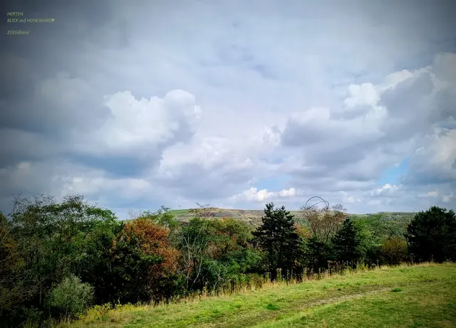 BLICK auf HOHEWARD