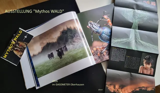 Faszinierend
BUCH zur Ausstellung