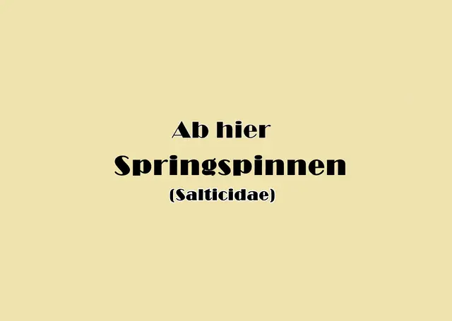 Foto: GvMeegen