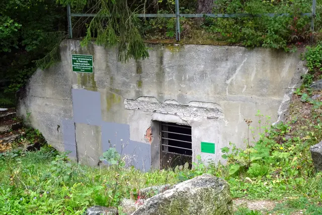 Aus dem alten Betonbunker ist ein Sommer- und Winterquartier für Fledermäuse geworden
