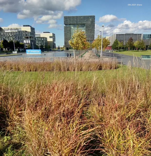 ESSEN
Herbst 2021@AnastasiA