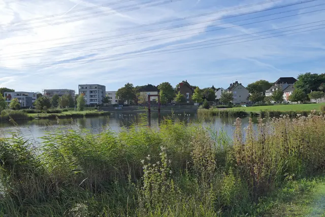 Der hintere Teil des Sees, der für Wasservögel attraktiver ist.