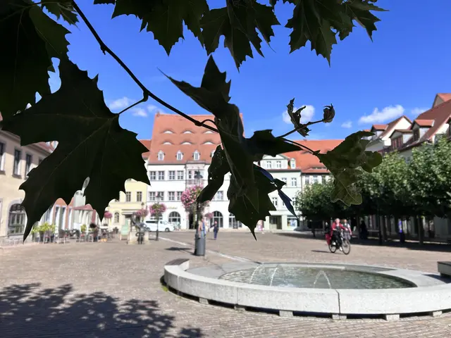 Holzmarkt