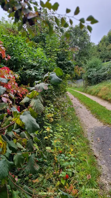 2024
Schwäbische ALB... im Oktober