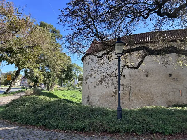 Teilstück des Marientores 