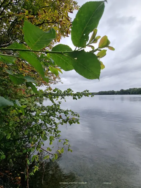 BOTTROP
2026
Herbstbeginn 
am Heidesee

2026@AnastasiA