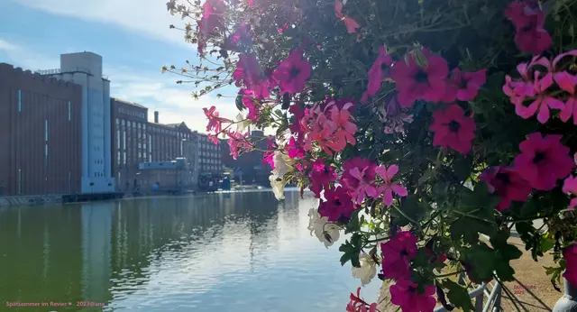 DUISBURG
(Innenhafen, September 2023♥)