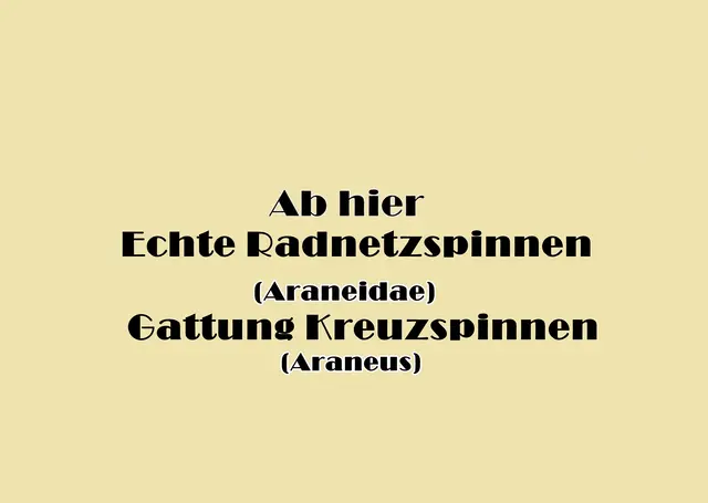Foto: GvMeegen