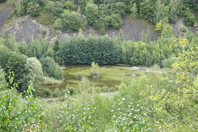 rekultivierter Steinbruch Wolfshagen