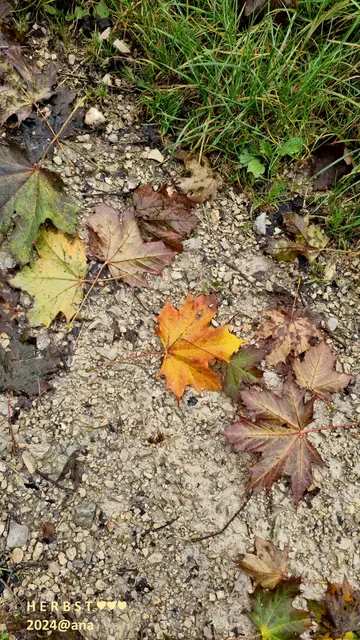 2024
Herbst in Bad Urach