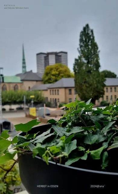 Essen City
2024@AnastasiA