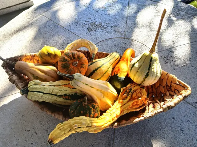 Unser Bilderbogen zeigt Impressionen der goldenen dritten Jahreszeit, dem Herbst. | Foto: Peter Heider