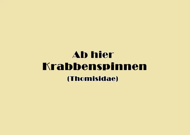 Foto: GvMeegen