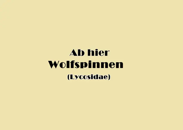 Foto: GvMeegen