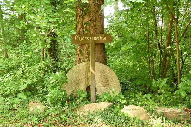 Mühlen in Nordrhein-Westfalen (Foto: Katja Woidtke)

Plaggen-Mühle in Döhren | Foto: Katja Woidtke