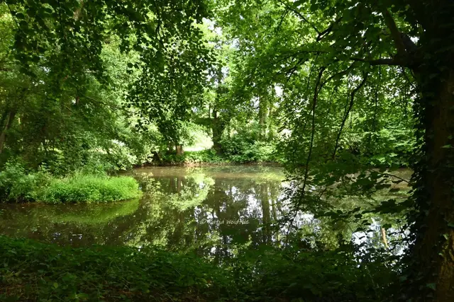 Plaggen-Mühle Döhren Mühlteich