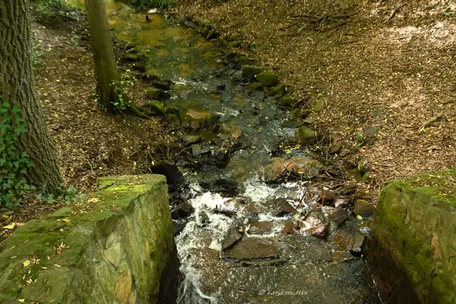 Möhlenbeeke